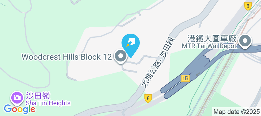 大埔公路沙田嶺段8006號